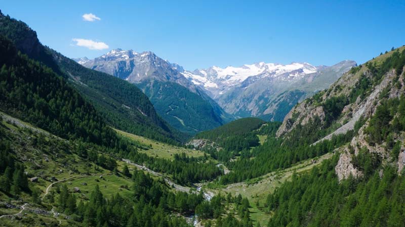 Reisebrev fra Grand Paradiso: 10 høydepunkt med 10 ville Jomfruer i Alpene